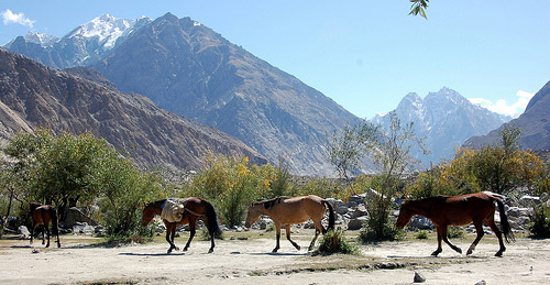 BALUCHI
